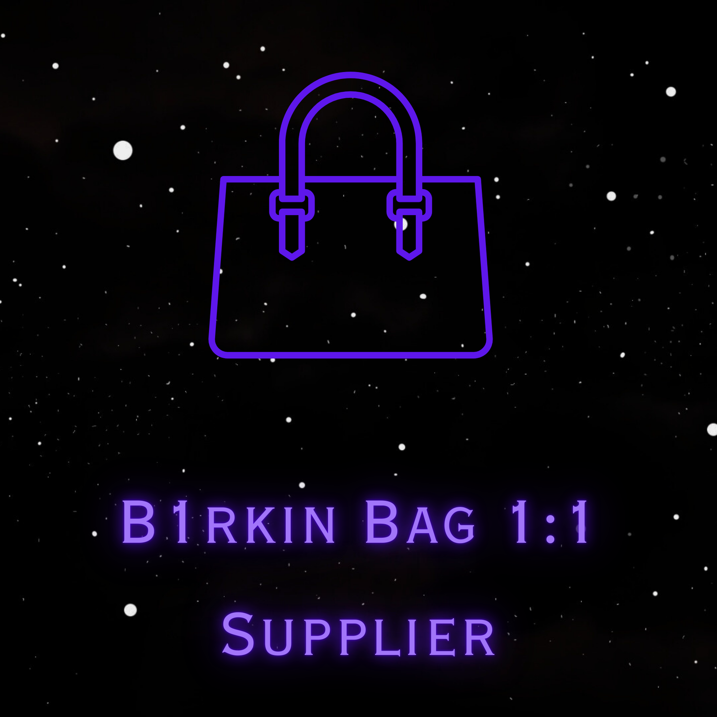 B1rkin Bag